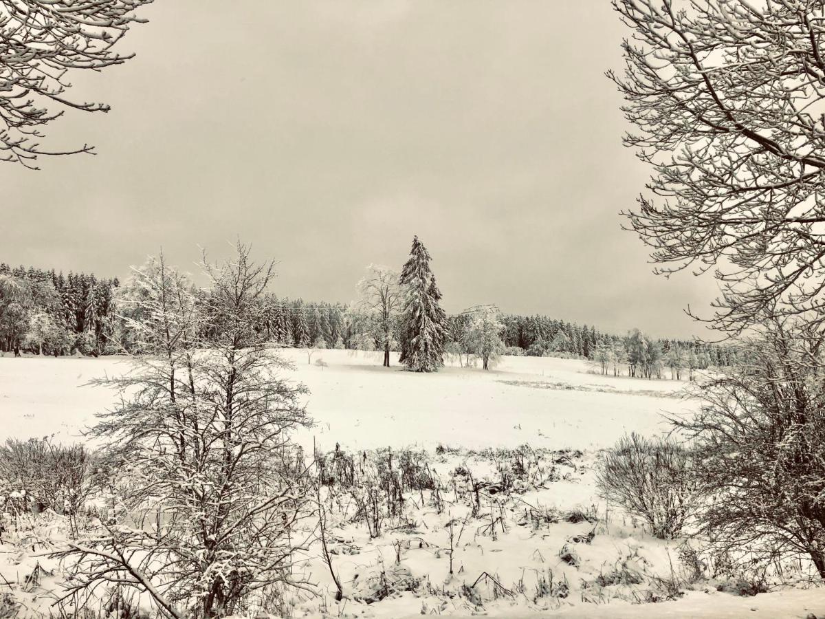 Apartamento App 622 Panoramic Hohegeiss Mit Wlan Terrassenhaus Braunlage Exterior foto