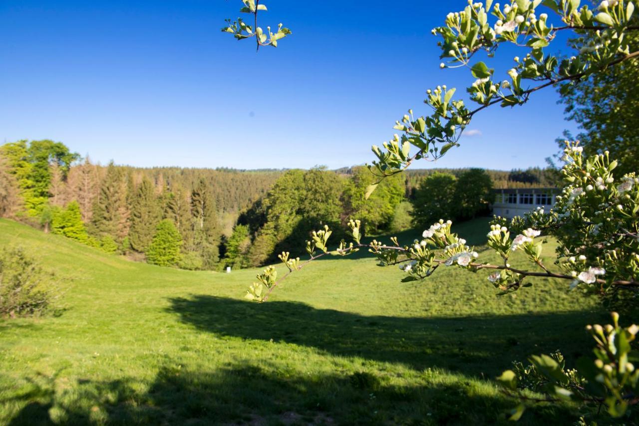 Apartamento App 622 Panoramic Hohegeiss Mit Wlan Terrassenhaus Braunlage Exterior foto